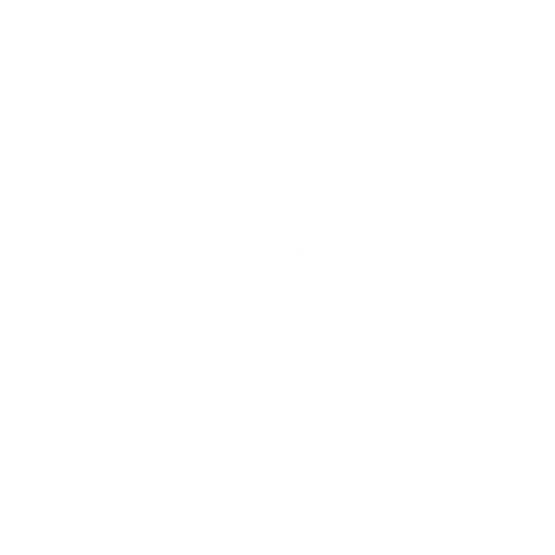 NDA Logo Variant 3